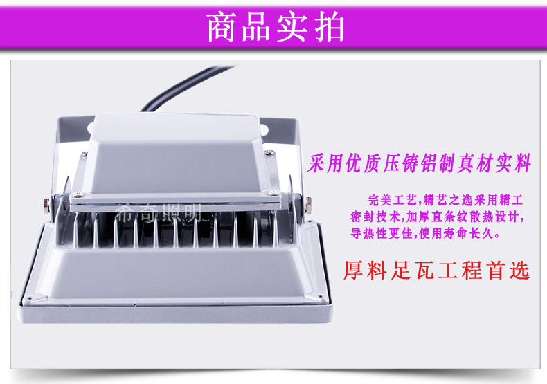 LED户外投光灯广告照明泛光灯投射灯工程专用地埋投光灯50W示例图5