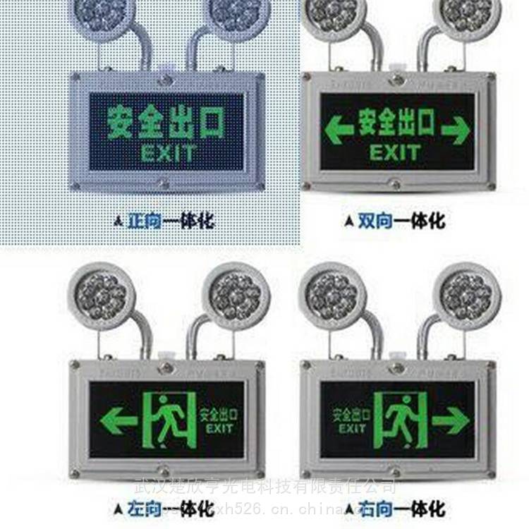 BJD320防爆应急灯 双头应急灯 双头室外应急照明灯