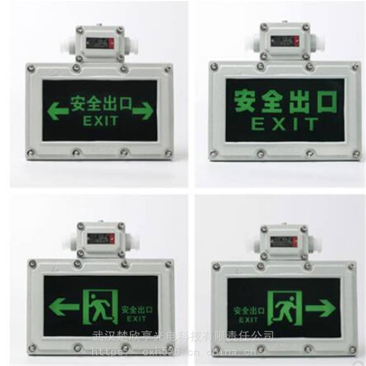 BYY煤矿用防爆应急标志灯 防爆疏散指示灯 粉尘防爆双头应急灯