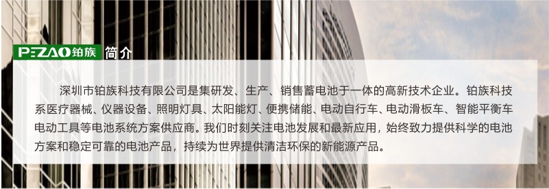 铂族 太阳能路灯电池组/太阳能储能电池组 12V20Ah/40Ah/60Ah锂电示例图4