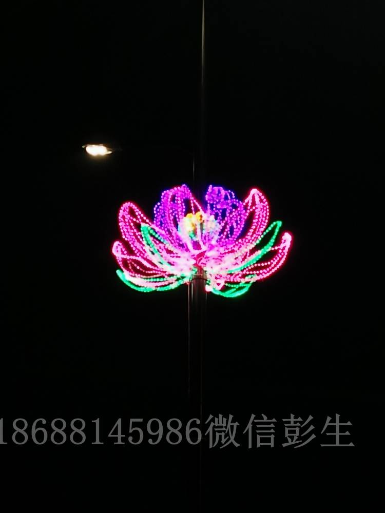 工厂直销 过街灯 LED投光灯 水晶球柱灯