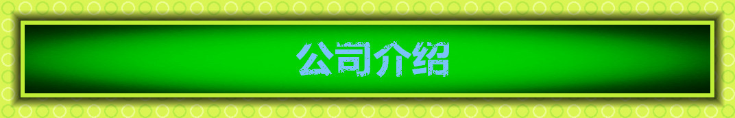 方形景观灯 庭院灯 LED户外灯 公园广场园林绿化别墅路灯示例图133