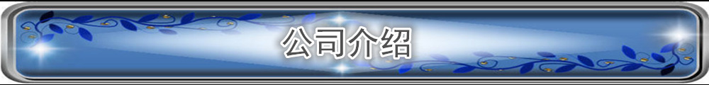 精品景观灯户外3米公园广场别墅路灯花园灯高杆灯LED庭院灯防水灯示例图18