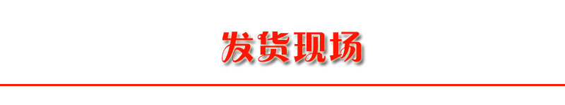 SS工程建筑施工升降机 双吊篮垂直提货机 江西湖南云南工地采购示例图23