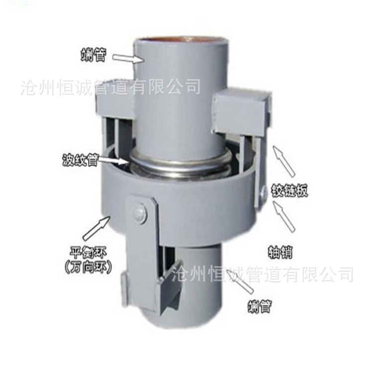 供应WJY万向铰链波纹补偿器铰链不锈钢补偿器膨胀厂家直销示例图5