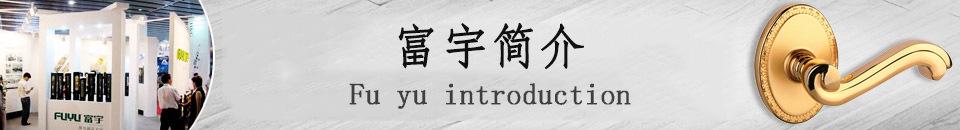 富宇FUYU	锌合金别墅大门锁	豪华入户木门门锁	中山锁具生产厂家示例图9