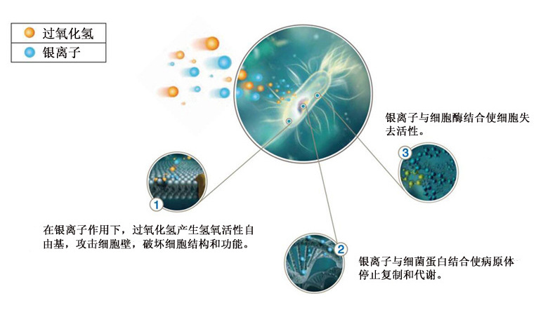 养猪场水线清洗剂 养猪场饮水器水嘴防堵疏通清理饮水杀菌消毒剂示例图3