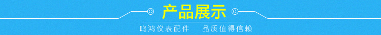 厂家直销针型阀 精密对焊针型阀 常温常压手动不锈钢针阀 可定制示例图17