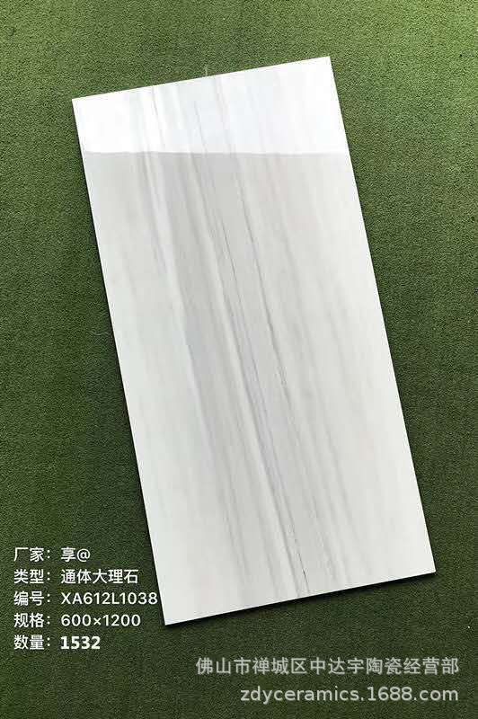 石雕600<i></i>X1200mm哑光磨具面通体大理石墙面客厅背景墙浴室地面瓷砖示例图13