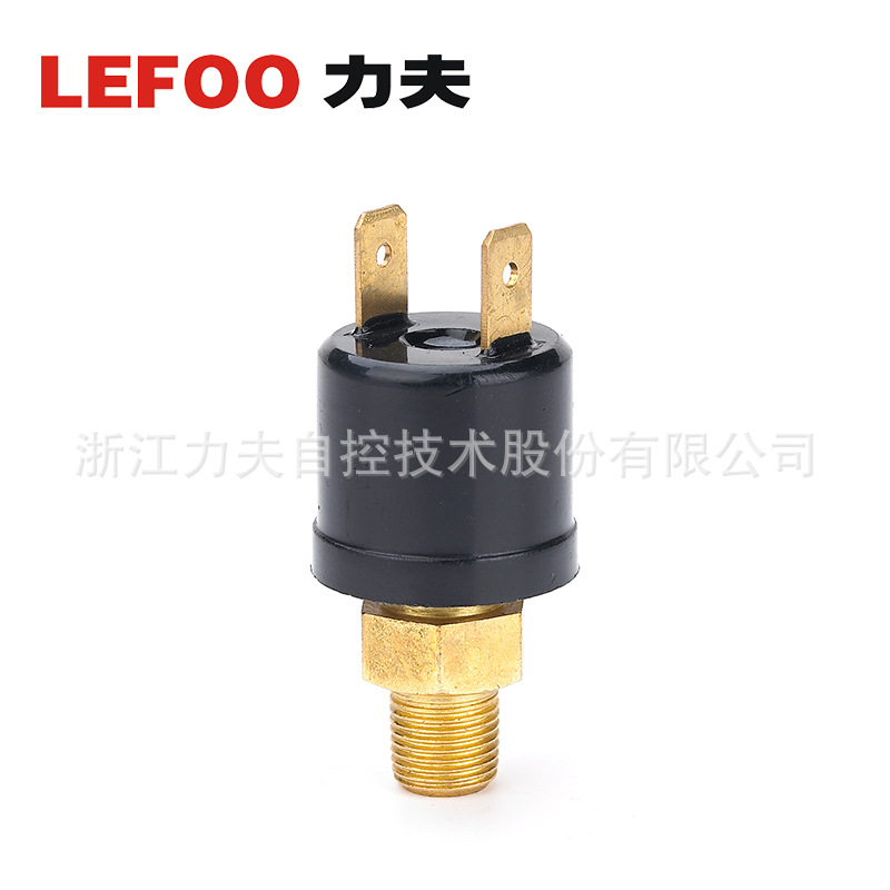 LEFOO LF08空压机自动气压开关 气泵压力控制器 水油压检测开关示例图8