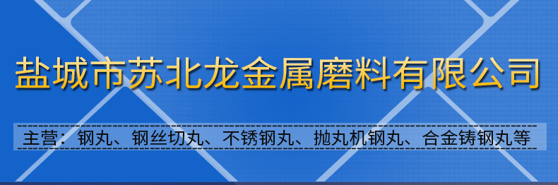 G16 合金铸钢砂 优质无尘钢砂 棱角砂 抛丸喷砂金属磨料批价供应示例图2