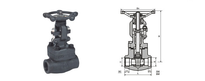 锻造闸阀 焊接闸阀 Z61H-800lb 高压锻造闸阀 DN15DN20DN25DN32示例图2