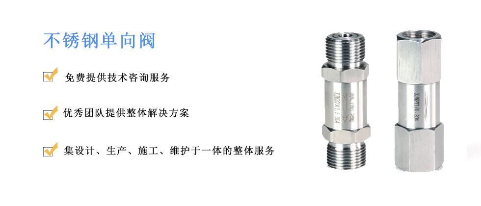 加工定制 不锈钢内螺纹单向阀 内螺纹高压止回阀示例图10