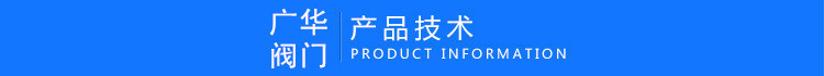 304不锈钢立式止回阀 内螺纹弹簧式单向阀 H12W-1000WOG逆止阀示例图2