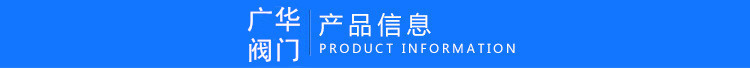 304不锈钢立式止回阀 内螺纹弹簧式单向阀 H12W-1000WOG逆止阀示例图3