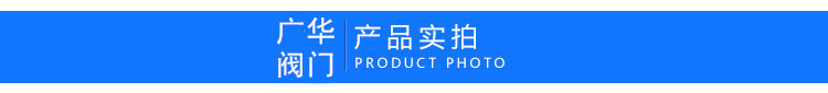 304不锈钢立式止回阀 内螺纹弹簧式单向阀 H12W-1000WOG逆止阀示例图5