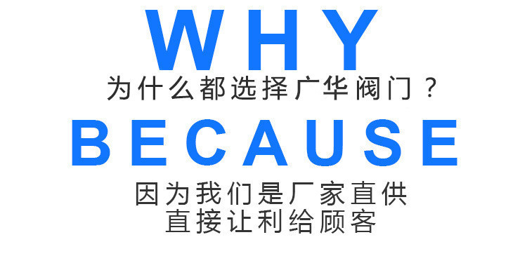 304不锈钢立式止回阀 内螺纹弹簧式单向阀 H12W-1000WOG逆止阀示例图10