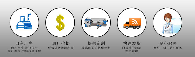 厂家批发不锈钢止回阀 逆止回阀 硬密封对夹止回阀示例图7