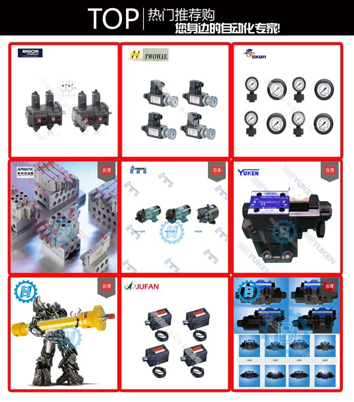 导关止回阀PO-063-X**N导关止回阀CPO-063-X**N台湾盘龙止回阀示例图1