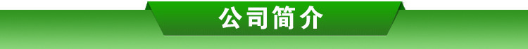 潍坊玻璃大棚玻璃温室畅销 智能化会种植温室龙骨建设 温室设计示例图2