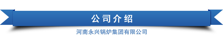 太康 永兴锅炉天然气采暖炉   醇基燃料锅炉价格厂家直销示例图22