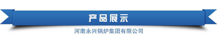 太康 永兴锅炉天然气采暖炉   醇基燃料锅炉价格厂家直销示例图2