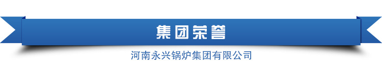 太康 永兴锅炉天然气采暖炉   醇基燃料锅炉价格厂家直销示例图18