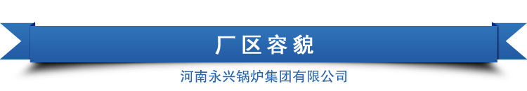 太康 永兴锅炉天然气采暖炉   醇基燃料锅炉价格厂家直销示例图13