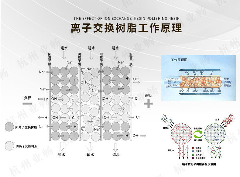 树脂通用790_03.jpg