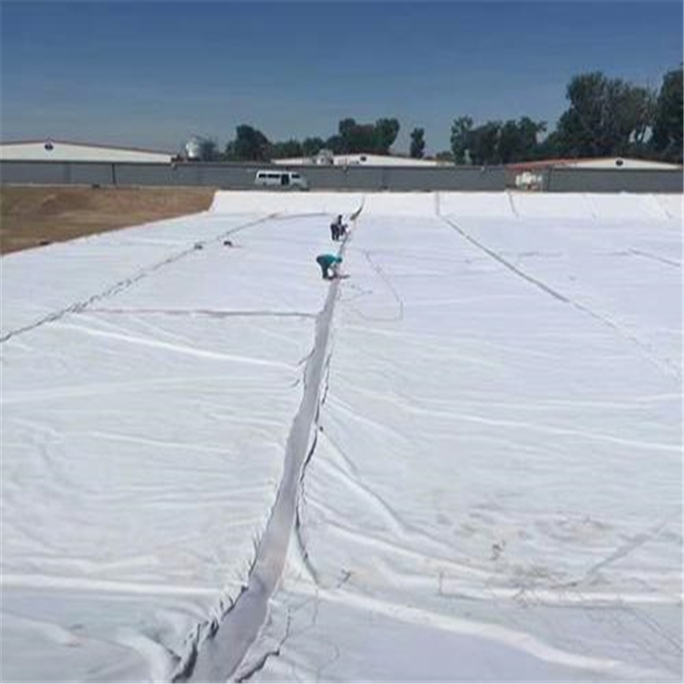 湖北武汉黑色防水藕池复合土工膜 防水土工膜 拓联