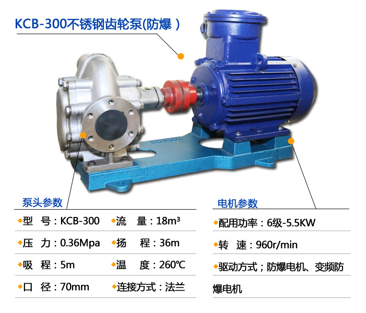 电动防爆不锈钢KCB-300大流量齿轮油泵 柴油机油煤油油漆输送泵示例图4