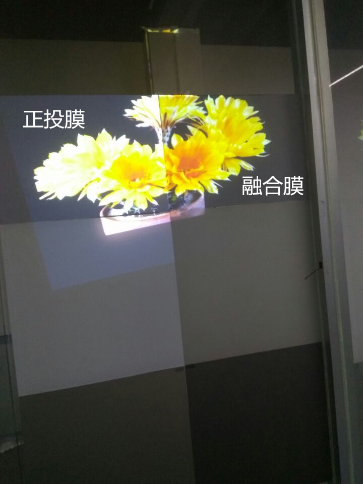 进口全息投影3D全息膜透明投影膜背投膜正投膜高清膜示例图4