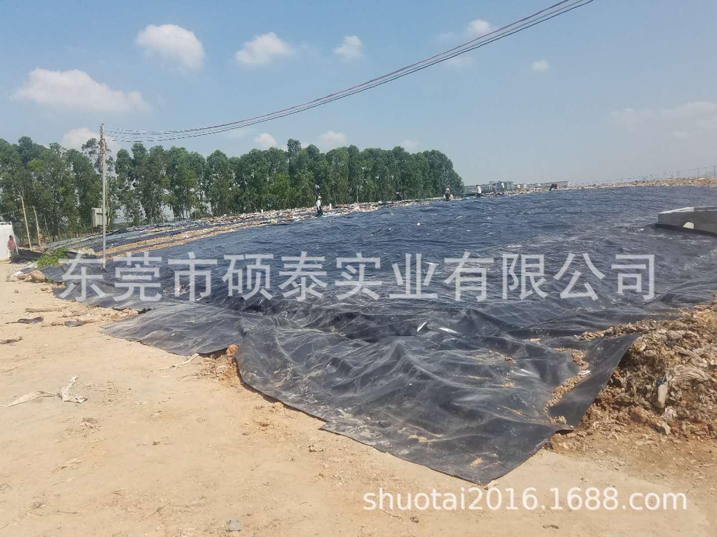 广东建筑膜生产厂家供应硕泰公路养护膜混凝土养护膜定做示例图4