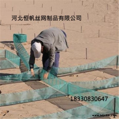 恒帆防沙网  阻沙网方格  经编阻沙网大网格  阻沙网格栅