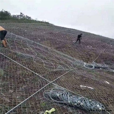 盛竹丝网生产格栅边坡防护网 山体岩石围护格栅 钢丝网卡主动扣格栅