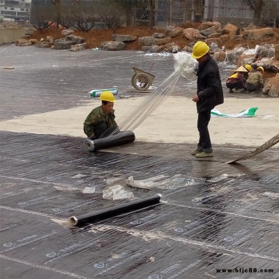 金西克防水厂家 屋顶双面自粘防水卷材 无胎高分子自粘防水卷材