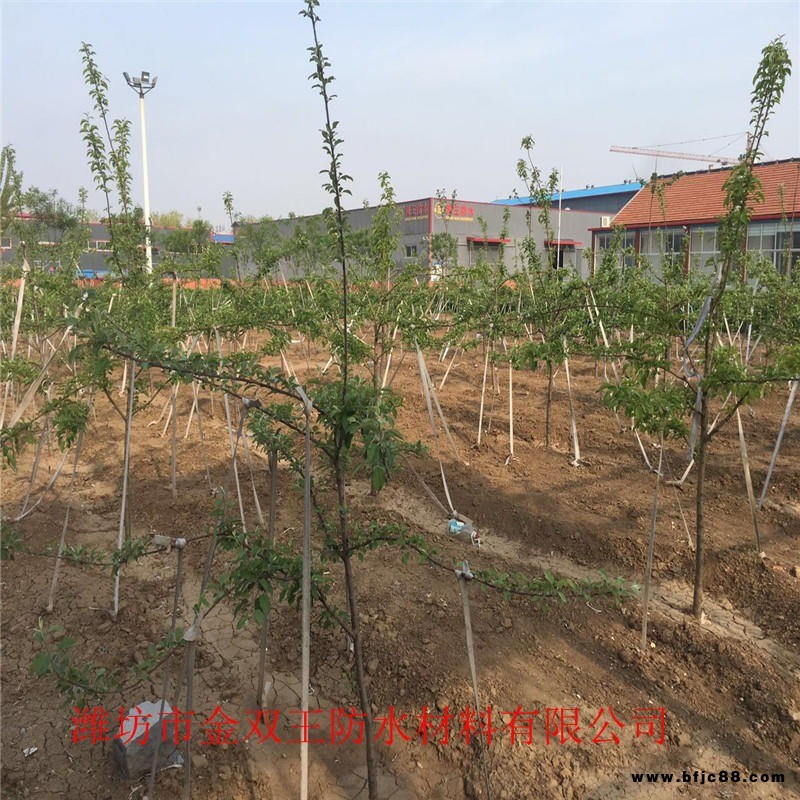 铝箔面自粘聚合物沥青防水卷材 免火烤1.5mm厚铝箔面自粘防水卷材