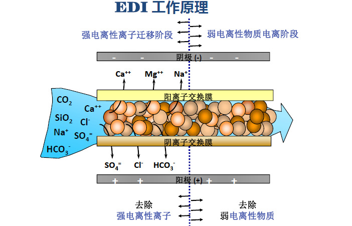 西门子EDI膜块坎普尔EDI膜堆纯化水膜块国产小型超纯水edi模块示例图5