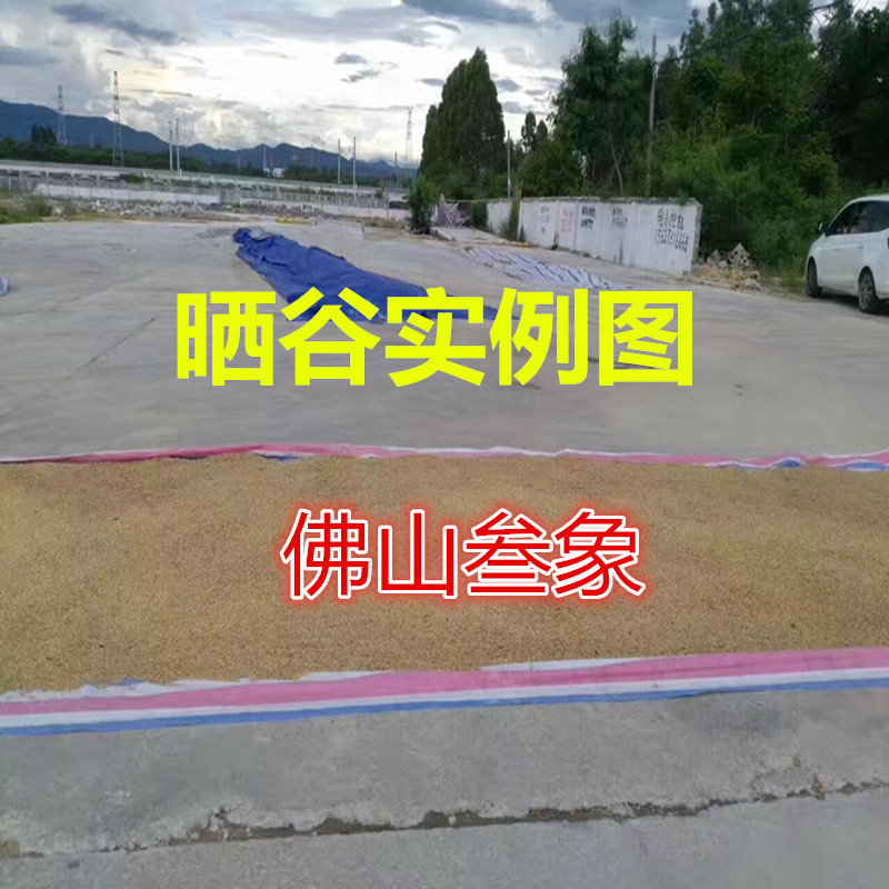 厂家直销海力特厚型pe彩条布海力防老化塑料布晒药材晒谷铺垫地面示例图5