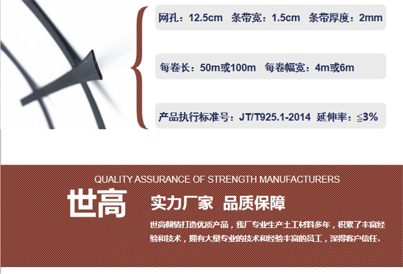 钢塑土工格栅厂家批发价格 路基加固双向钢塑格栅厂家直销示例图3