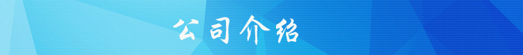 定制单柱双柱铝合金式升降机多柱铝合金升降机升降货梯高空升降梯示例图1